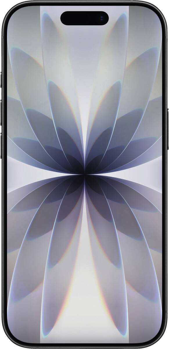 Apple iPhone 17 256GB Schwarz Smartphone Produktbild 2